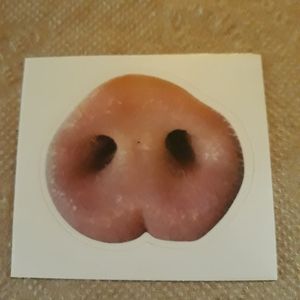 Pig nose sticker
